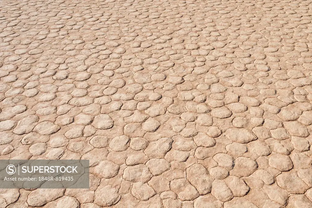 Dried sandy ground, Dead Pan, Sossusvlei, Namib Desert, Namibia