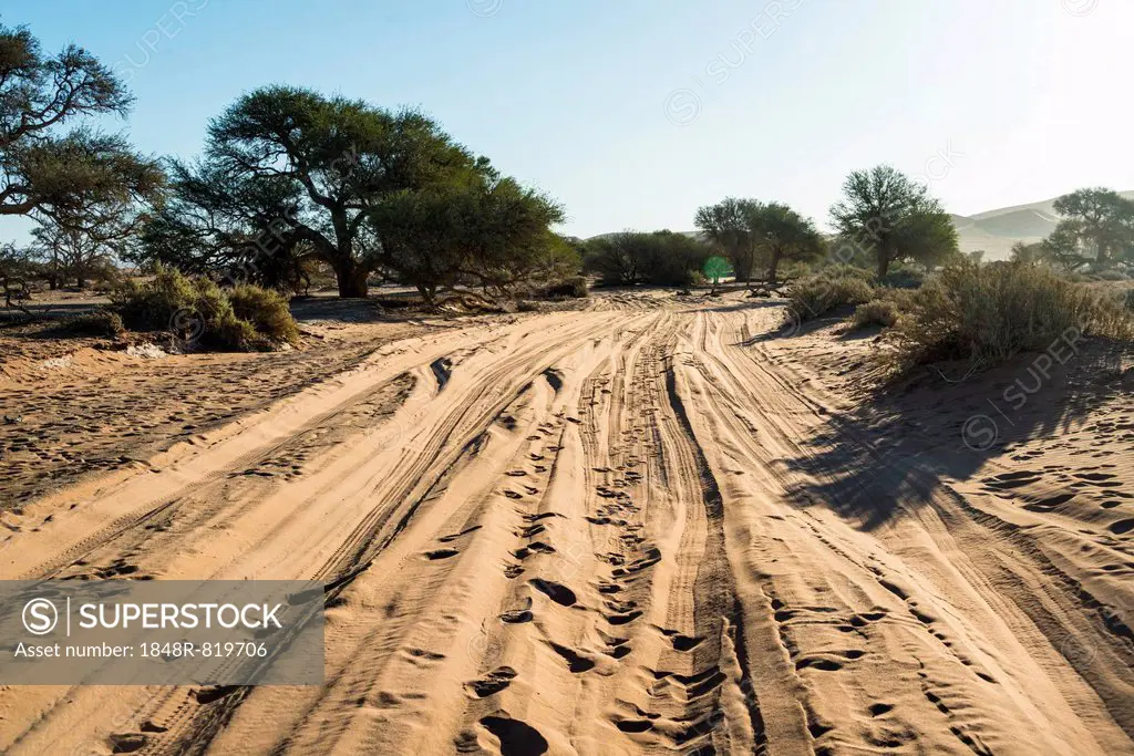 Sandy slopes, Sossusvlei, Namib-Skeleton Coast National Park, Namibia
