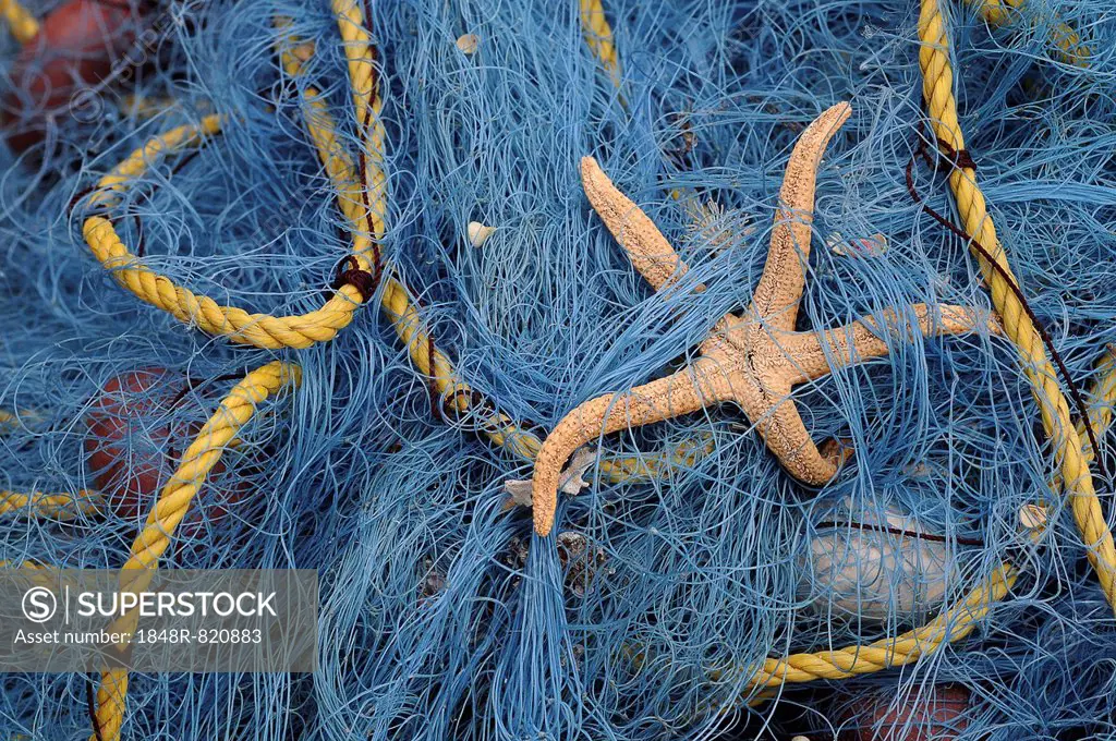 Blue fishing net with a starfish, Greece