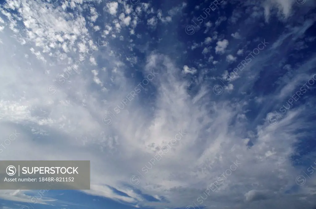 Cirrus clouds