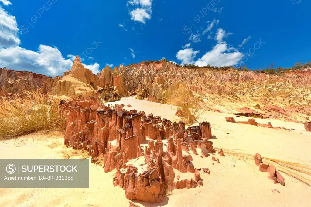 Sandstone canyon, Ankarafantsika National Park, Mahajanga Province, Madagascar
