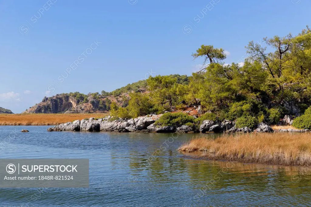 Dalyan Delta, Dalyan, Mugla Province, Turkish Riviera or Turquoise Coast, Aegean, Turkey
