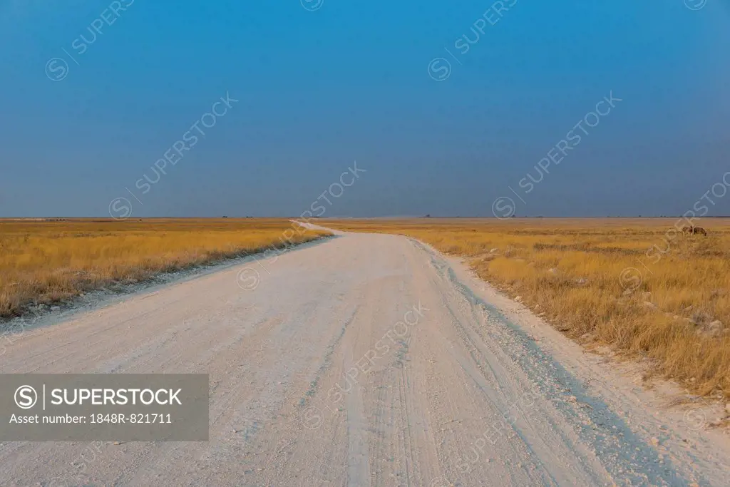 Gravel road in Etosha National Park, Namibia
