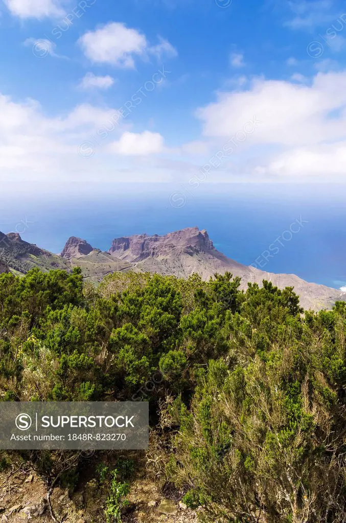 View from the lookout Mirador de Alojera in the Garajonay National Park, La Gomera, Canary Islands, Spain