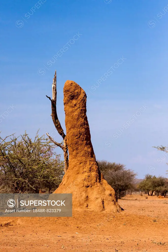 Termite mound, Kaokoland, Kaokoveld, Namibia