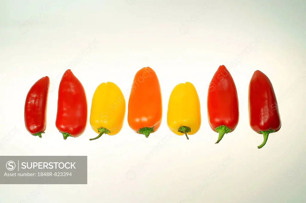 Red, orange and yellow bell peppers