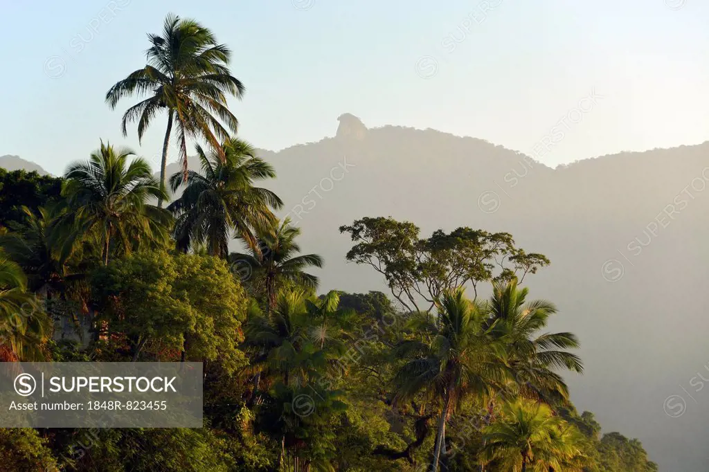 Coastal rainforest of Brazil's Costa Verde with Mt Pico do Papagaio, Ilha Grande, State of Rio de Janeiro, Brazil
