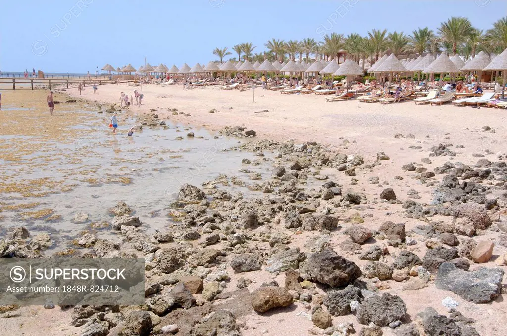 Low tide on Coral Beach, Sharm el-Sheikh, South Sinai Governorate, Egypt