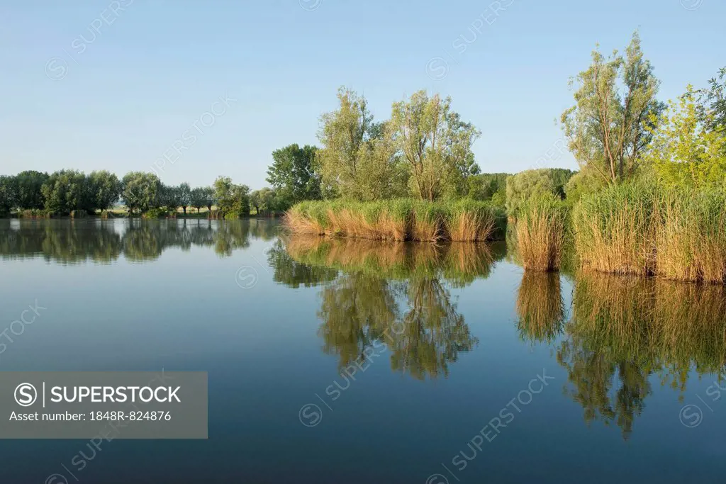 Pond landscape, Herbslebener Teiche nature reserve, Herbsleben, Thuringia, Germany