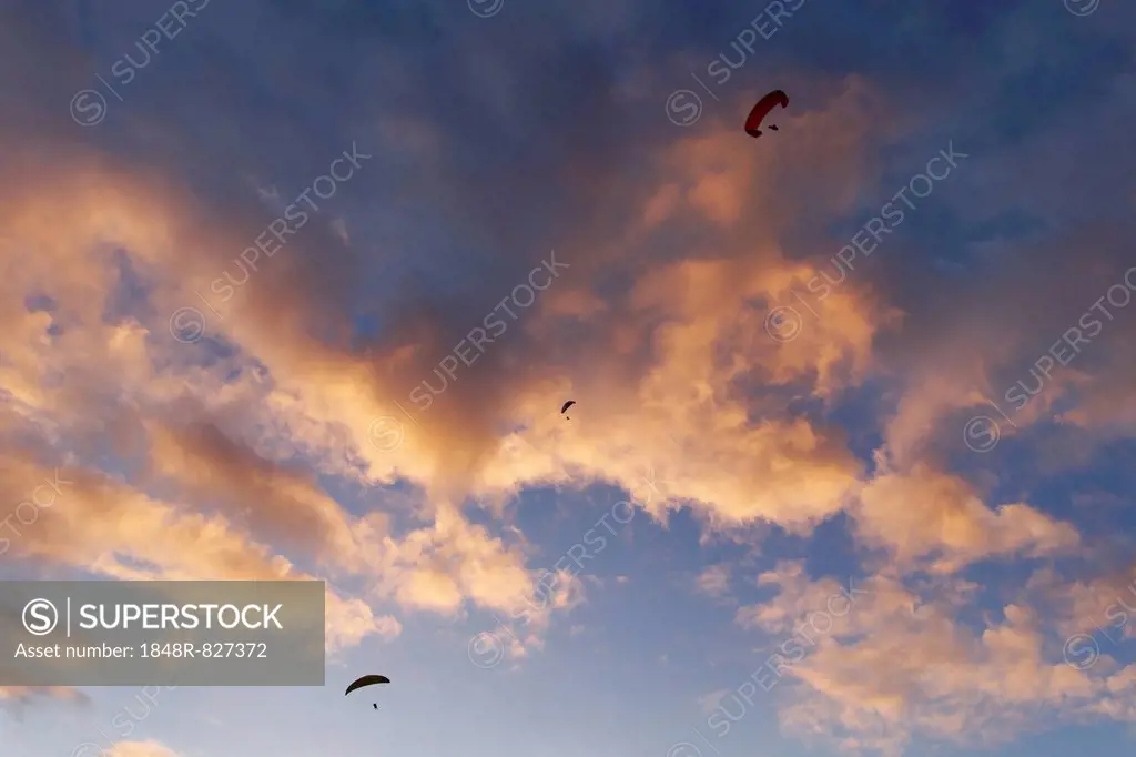Paraglider in front of clouds at dusk, Puerto Naos, La Palma, Canary Islands, Spain