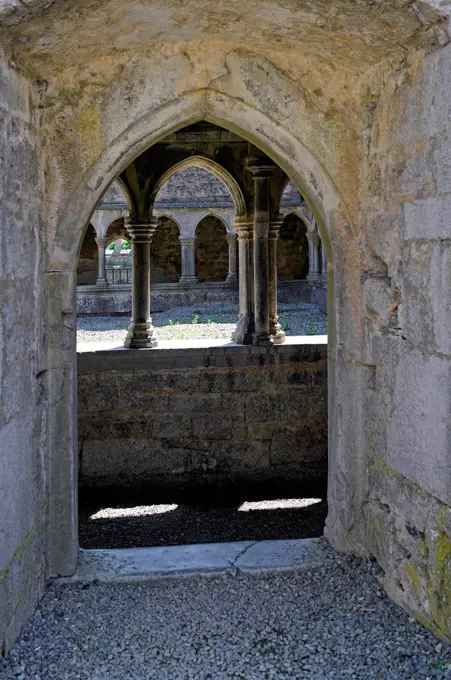Cloister, ruins of the former Franciscan monastery, Askeaton, County Limerick, Ireland, Europe