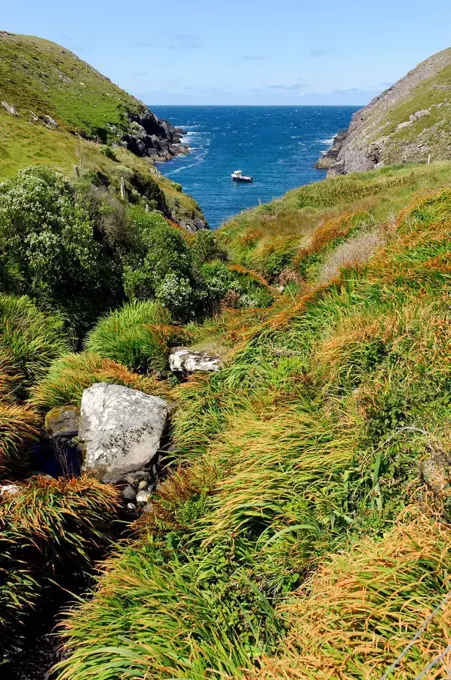 Saint Brendan Creek, Dingle Peninsula, County Kerry, Ireland, Europe