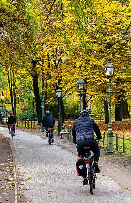 Cyclists and pedestrians in Berlin Tiergarten, Berlin, Germany, Europe