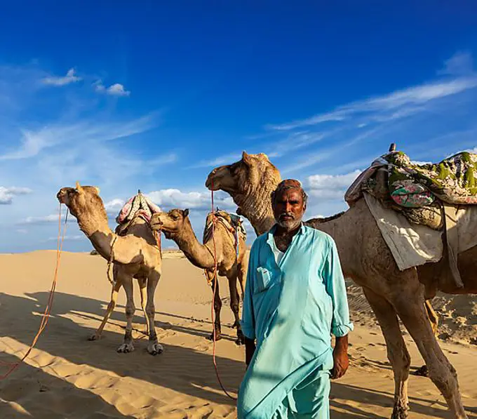 Rajasthan travel background, Indian man cameleer (camel driver) portrait with camels in dunes of Thar desert. Jaisalmer, Rajasthan, India, Asia