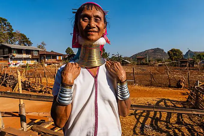 Portrait of a Padaung, giraffe, woman, Loikaw area, Panpet, Kayah state, Myanmar, Asia