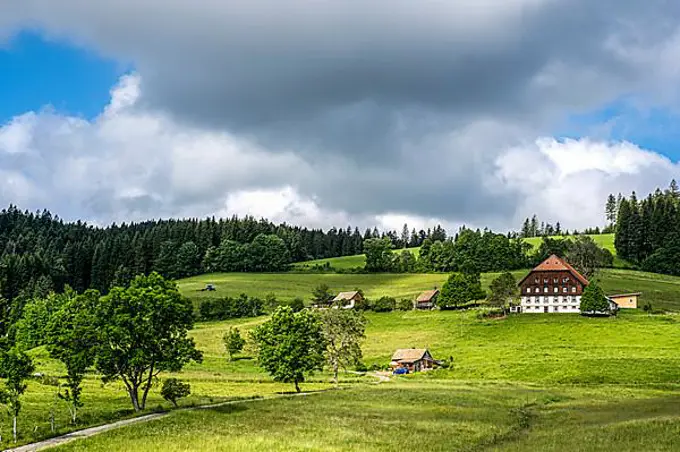 Summer farm in the Upper Black Forest, Black Forest, Baden-Wuerttemberg, Germany, Europe