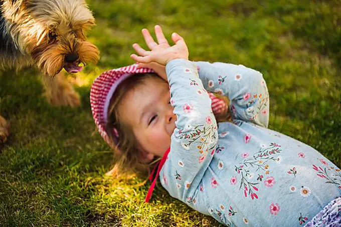 Baby girl lying on grass with dog in backyard on summer day. Domestic animal with children concept