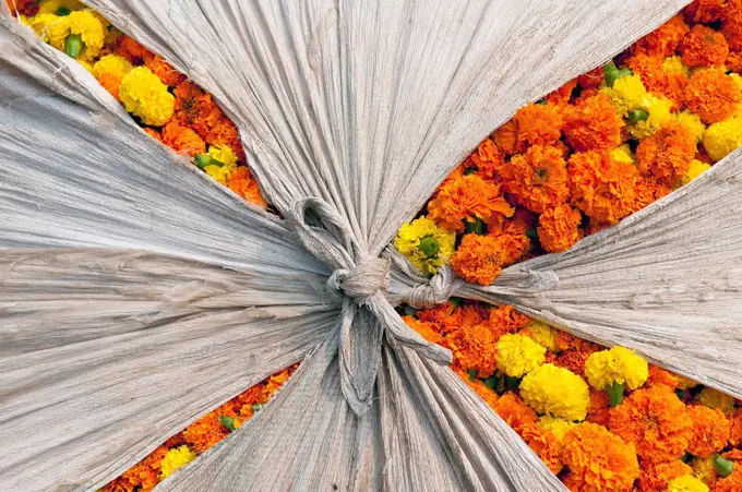 Marigold flowers, flower market, Howrah Bridge, Kolkata or Calcutta, West Bengal, East India, India, Asia