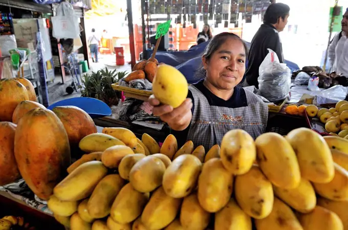 Market woman selling fruit, yellow mangoes, Puebla, Mexico, Central America