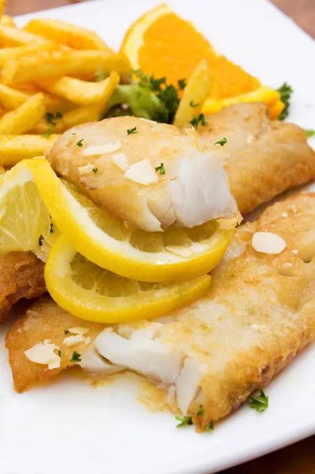 Redfish fillet with french fries