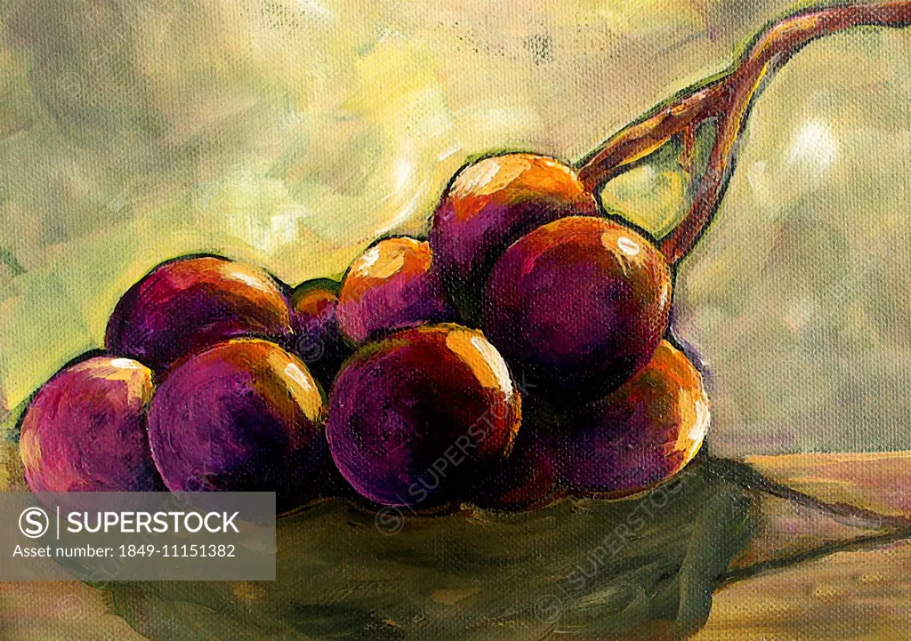 Still life of bunch of purple grapes
