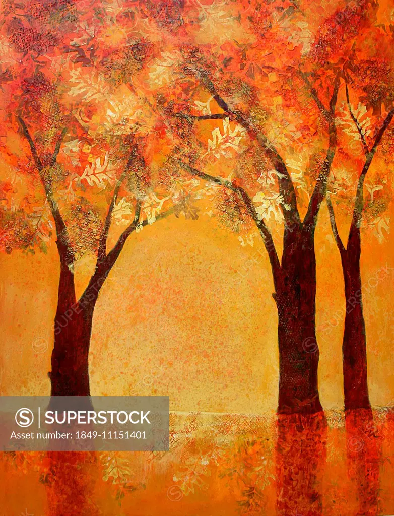 Trees with orange autumn leaves