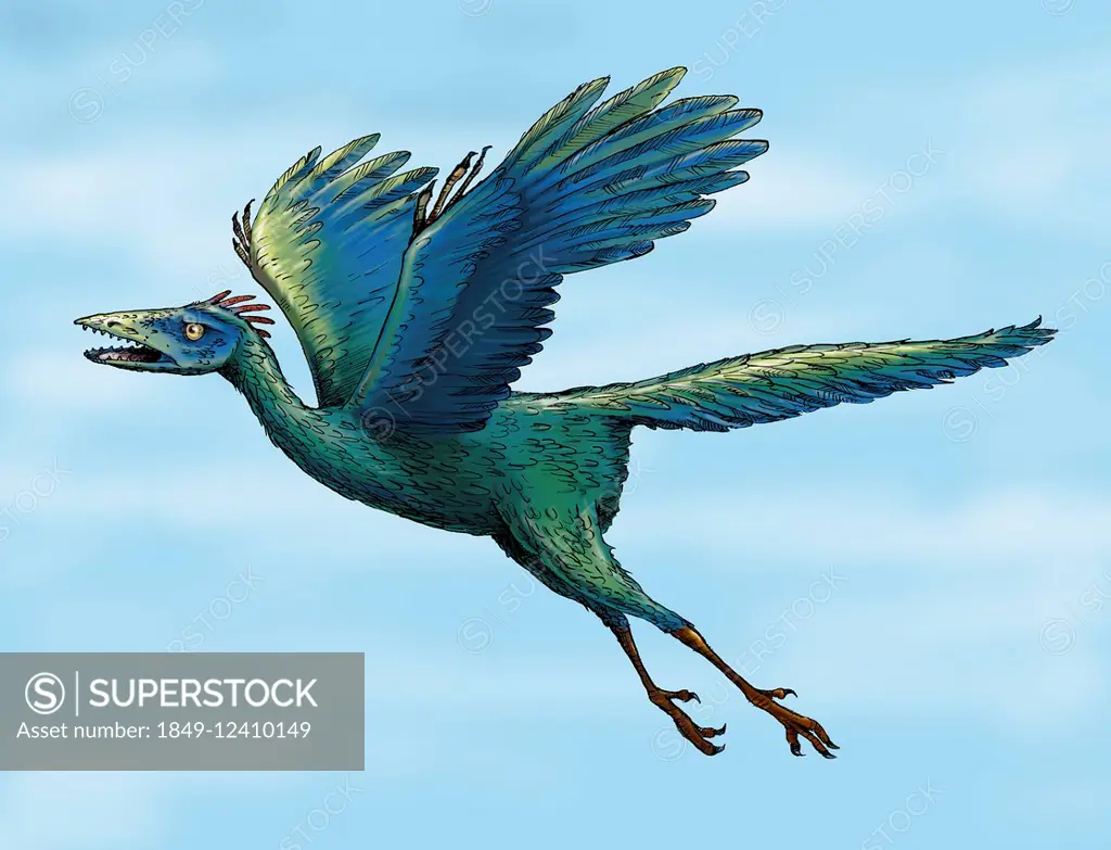 Archaeopteryx flying