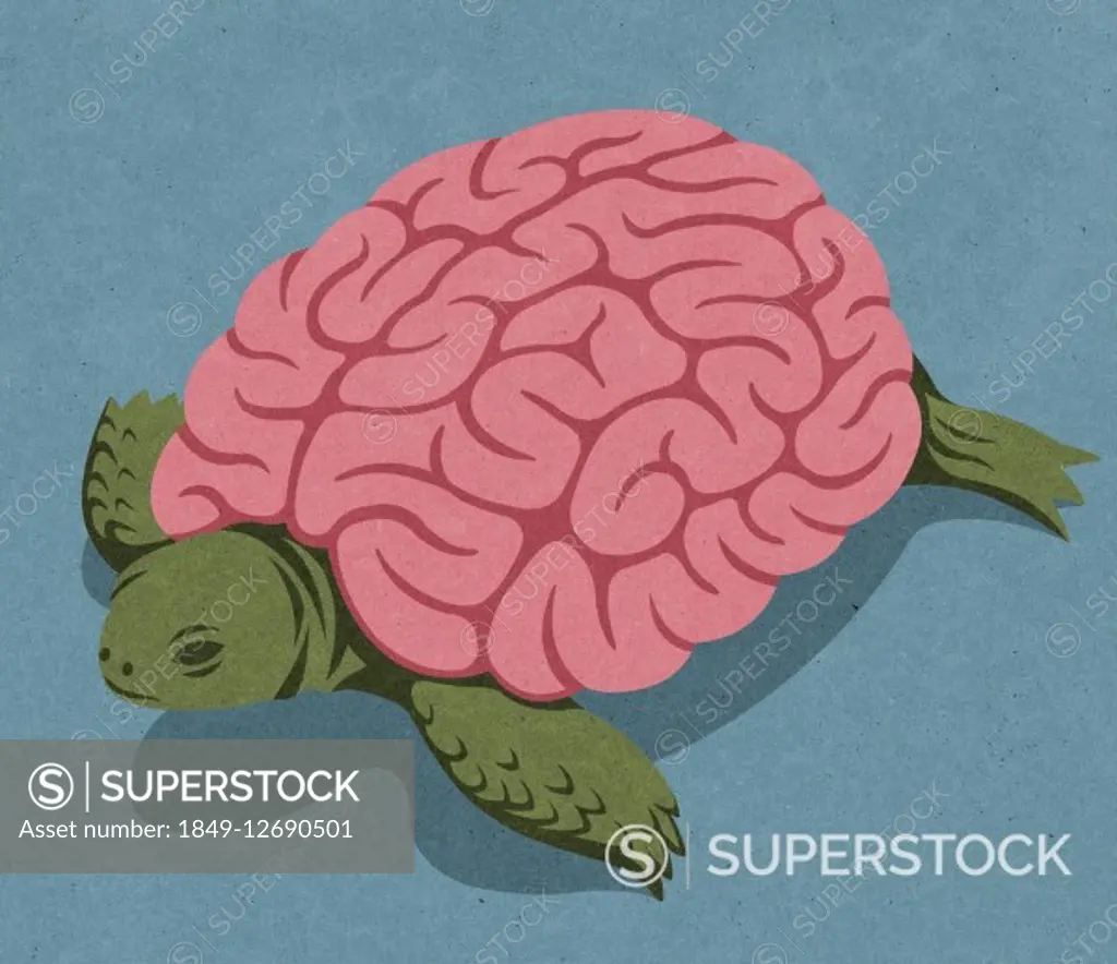 Human brain as tortoise