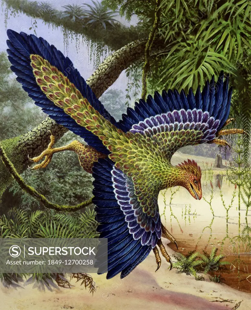 Archaeopteryx dinosaur flying