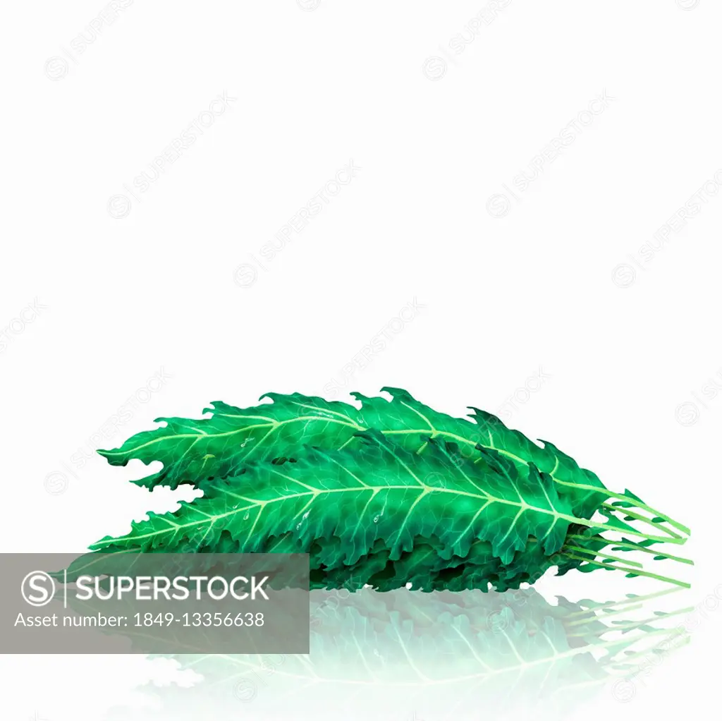 Pile of kale leaves