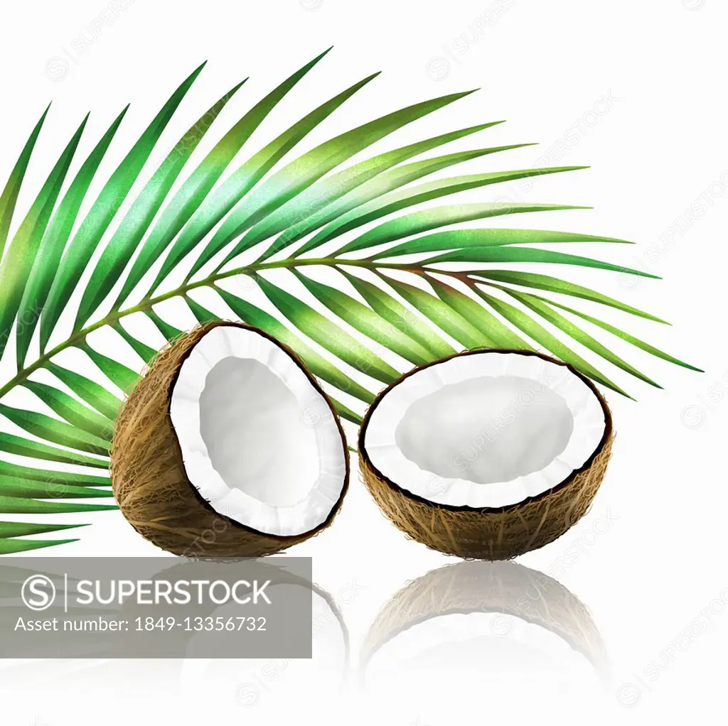 Coconut in two halves with coconut leaf