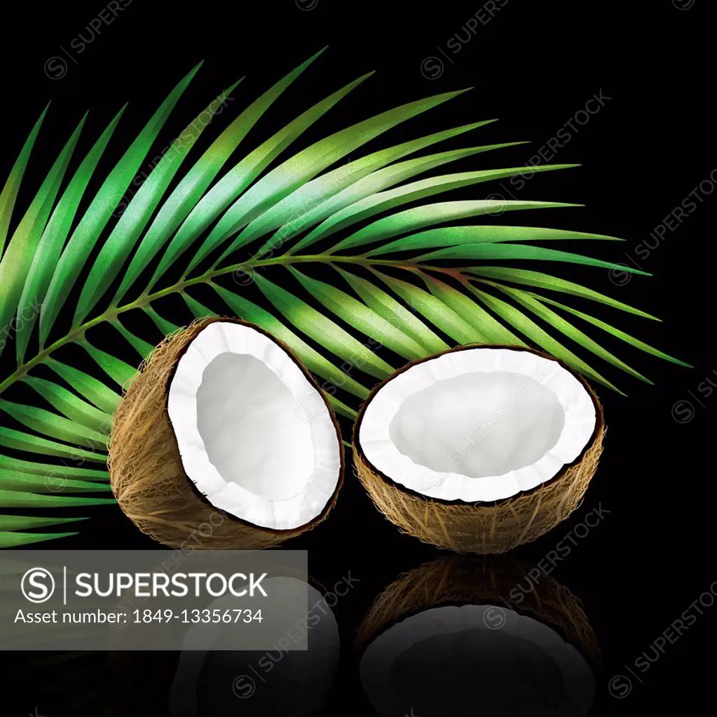 Coconut in two halves with coconut leaf