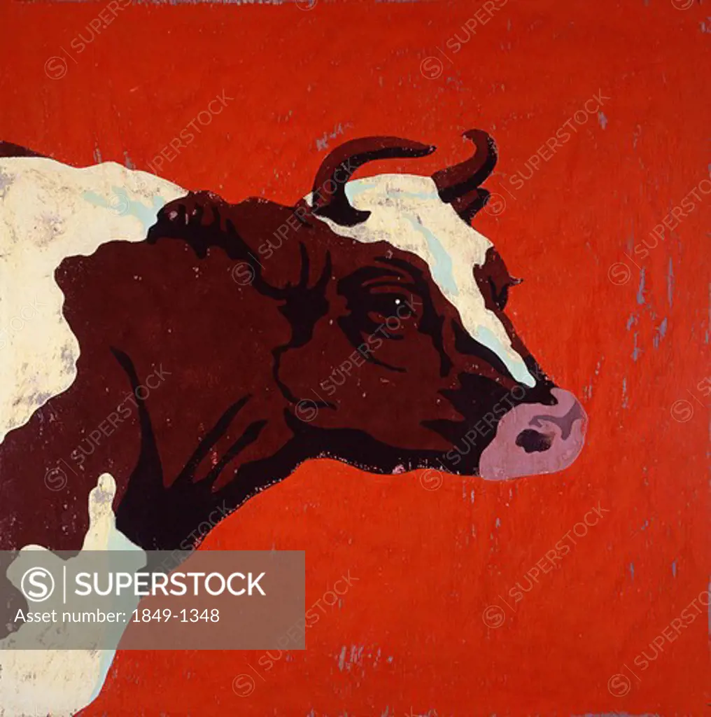 Portrait of Hereford cow