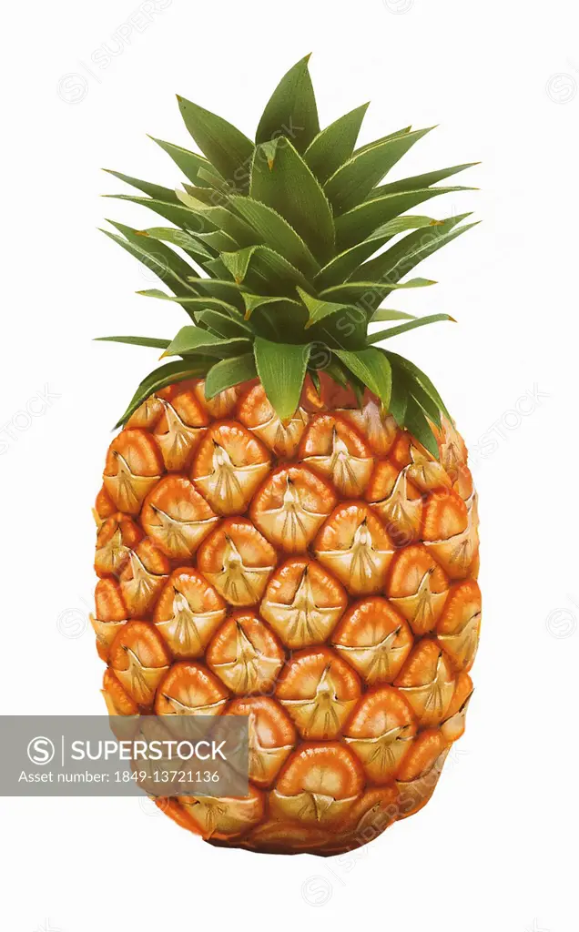 Single whole pineapple