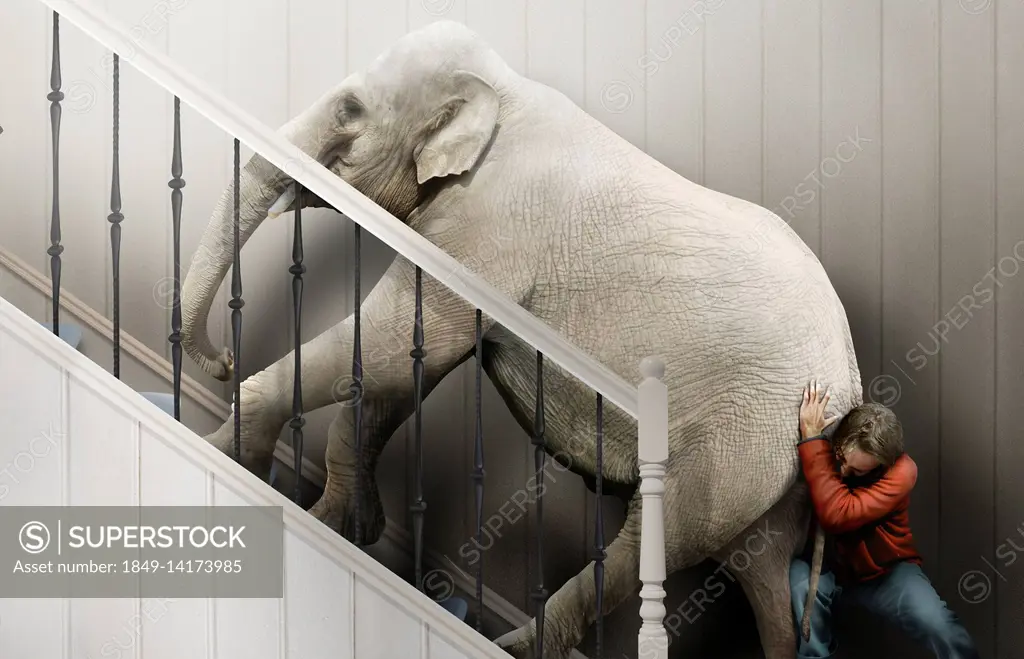 Man struggling to push elephant up stairs