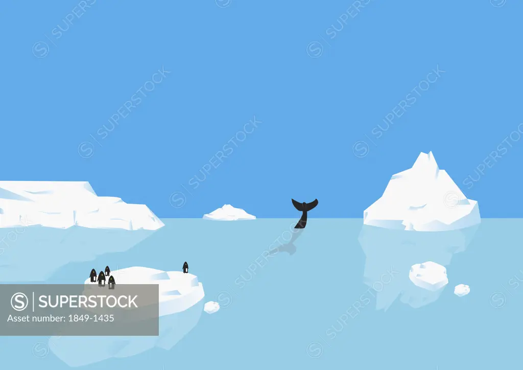 Penguins standing on iceberg, whale diving in distance