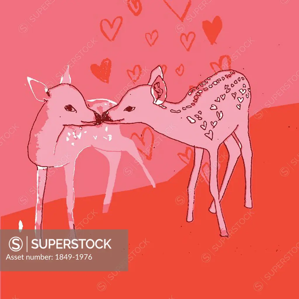 Deer kissing