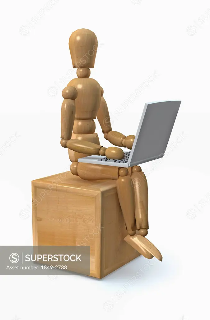 Wooden model using laptop