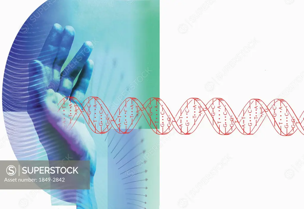 Hands stopping DNA helix