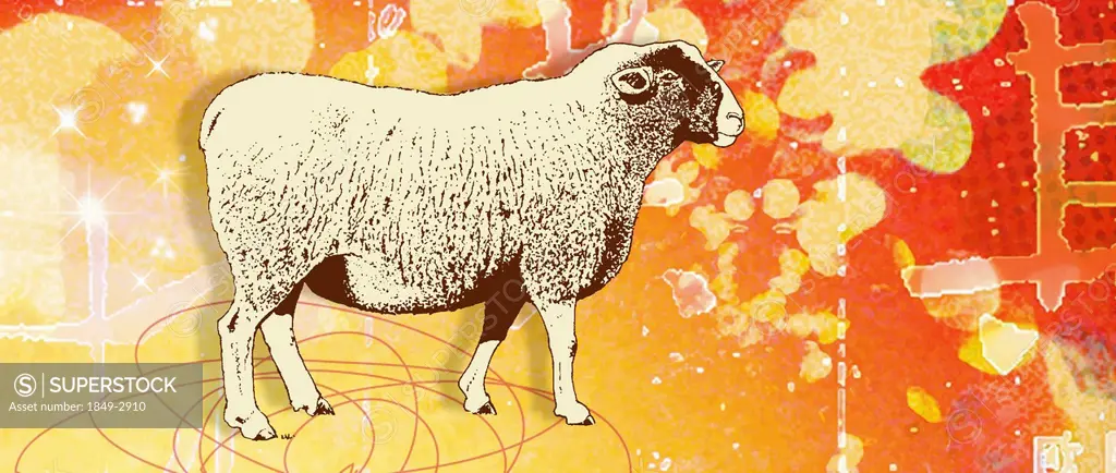Montage of the Chinese year of the Sheep