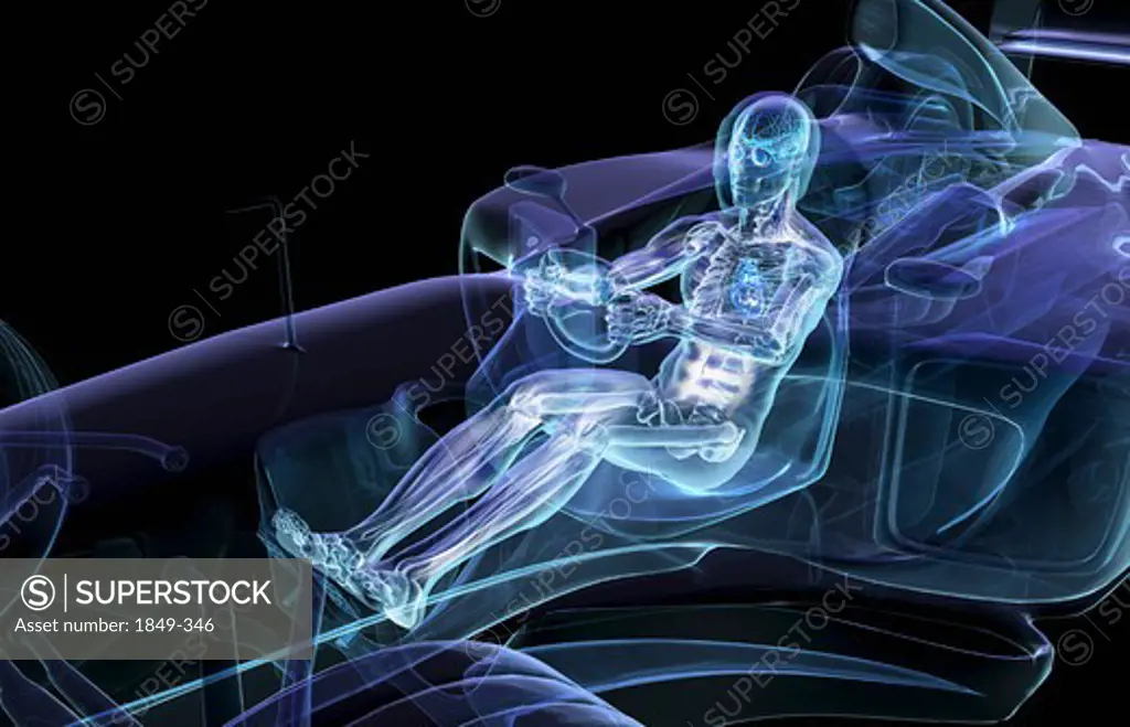 Anatomical man driving car