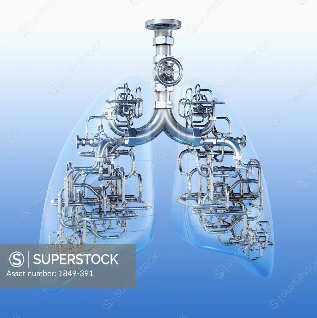 Pipes connecting lungs