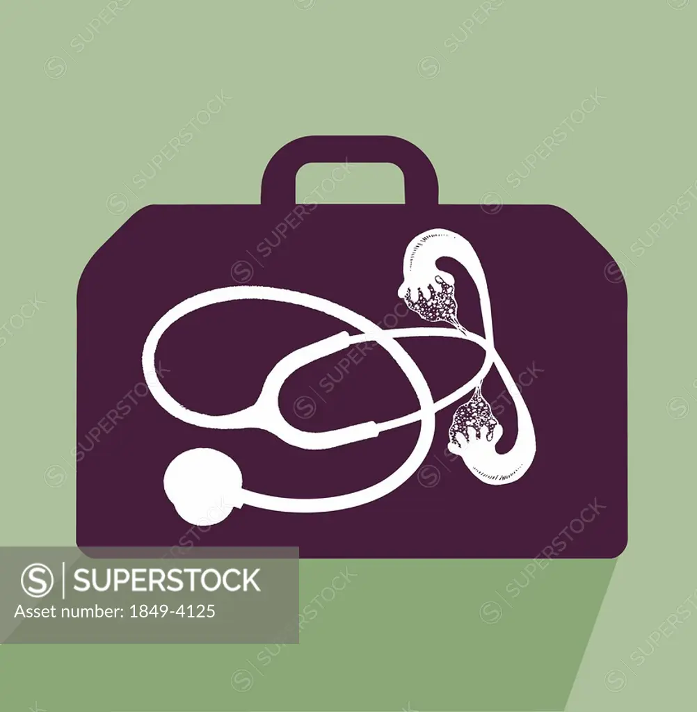 Stethoscope with fallopian tubes in briefcase