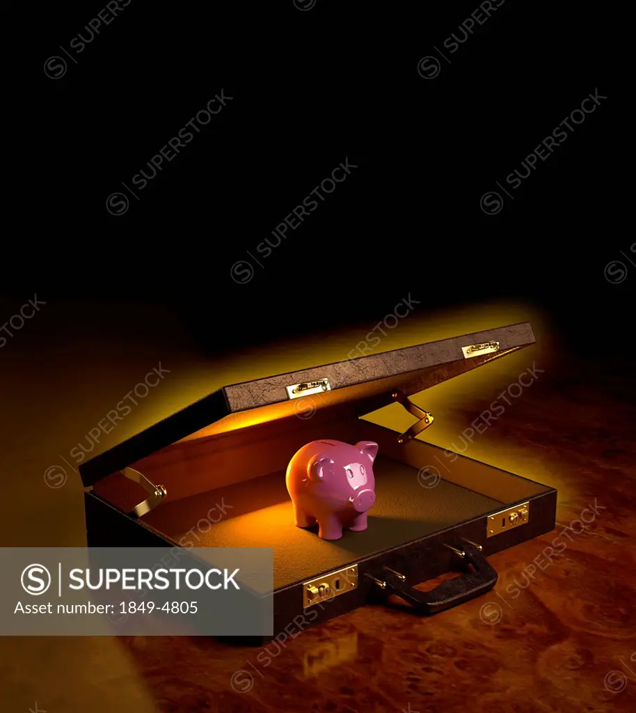 Piggy bank in glowing open briefcase