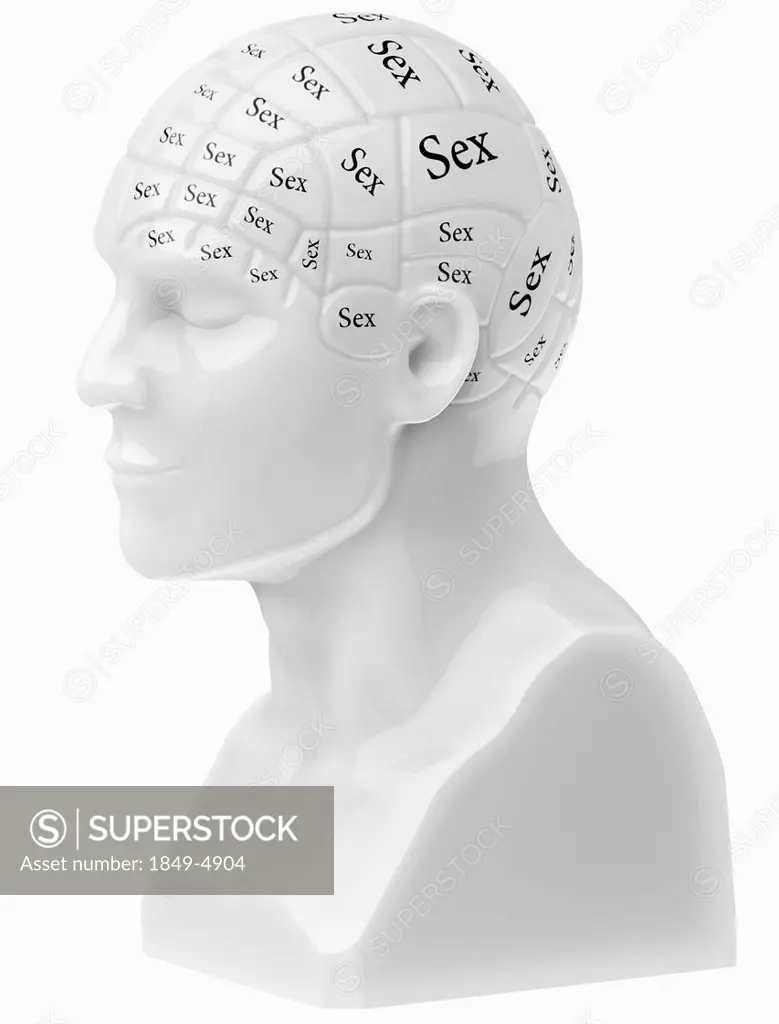 Sex” text covering brain on bust