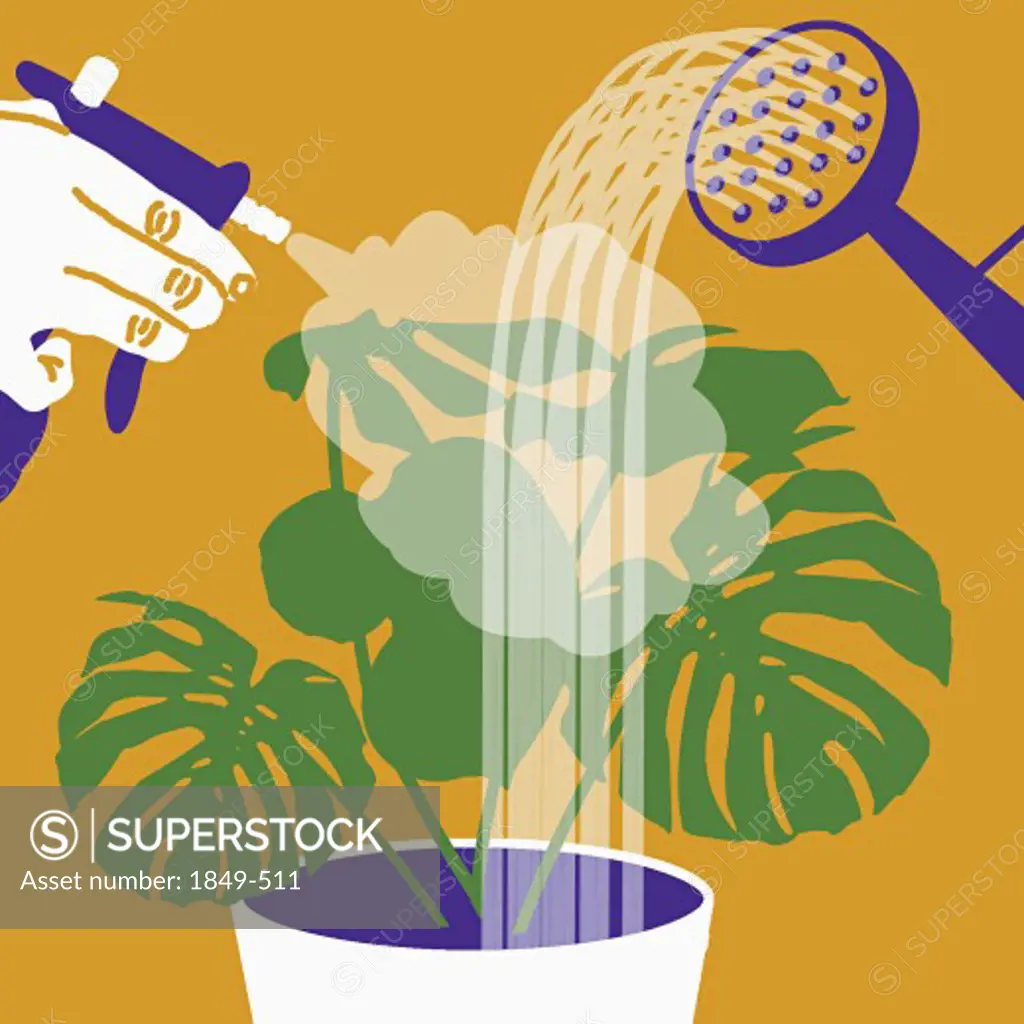 Person watering potted plant