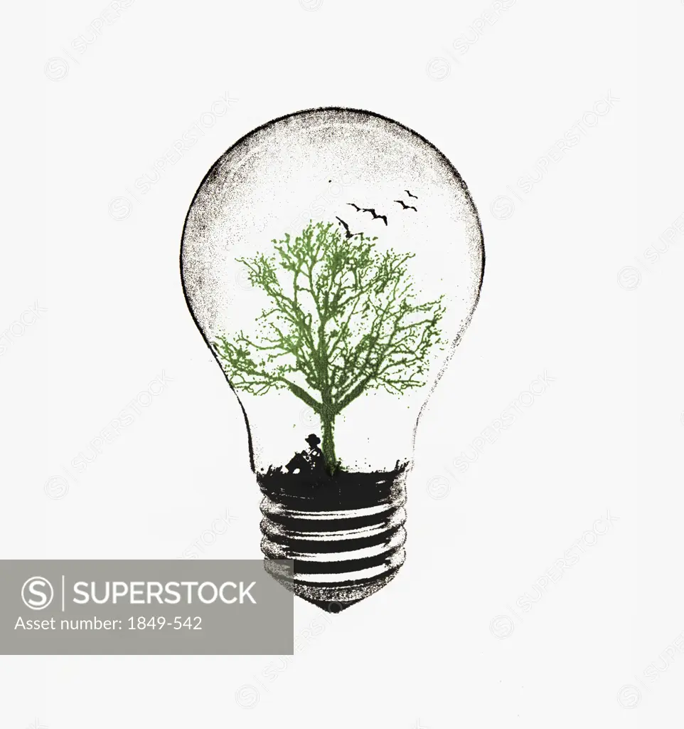 Tree growing in light bulb