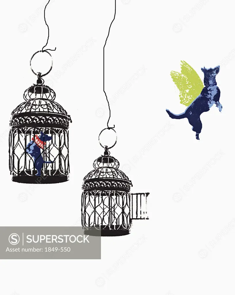 Flying dog escaping from birdcage
