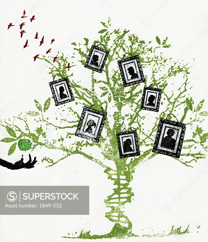Pictures on family tree