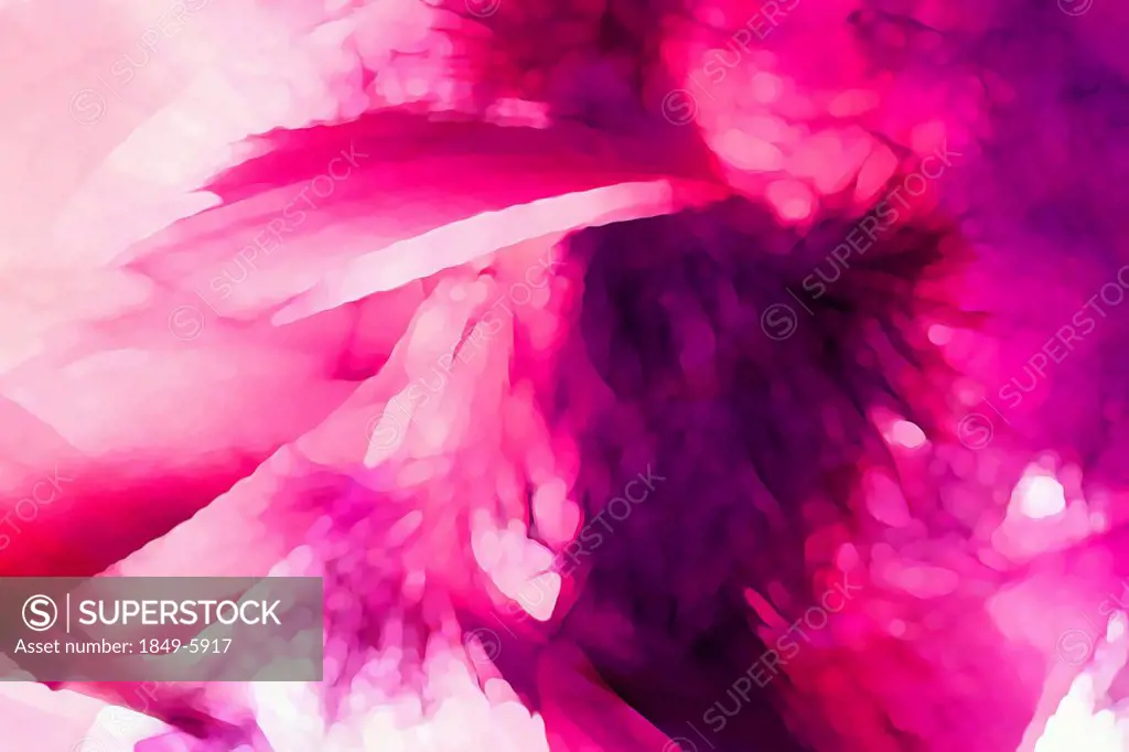 Pink abstract backgrounds